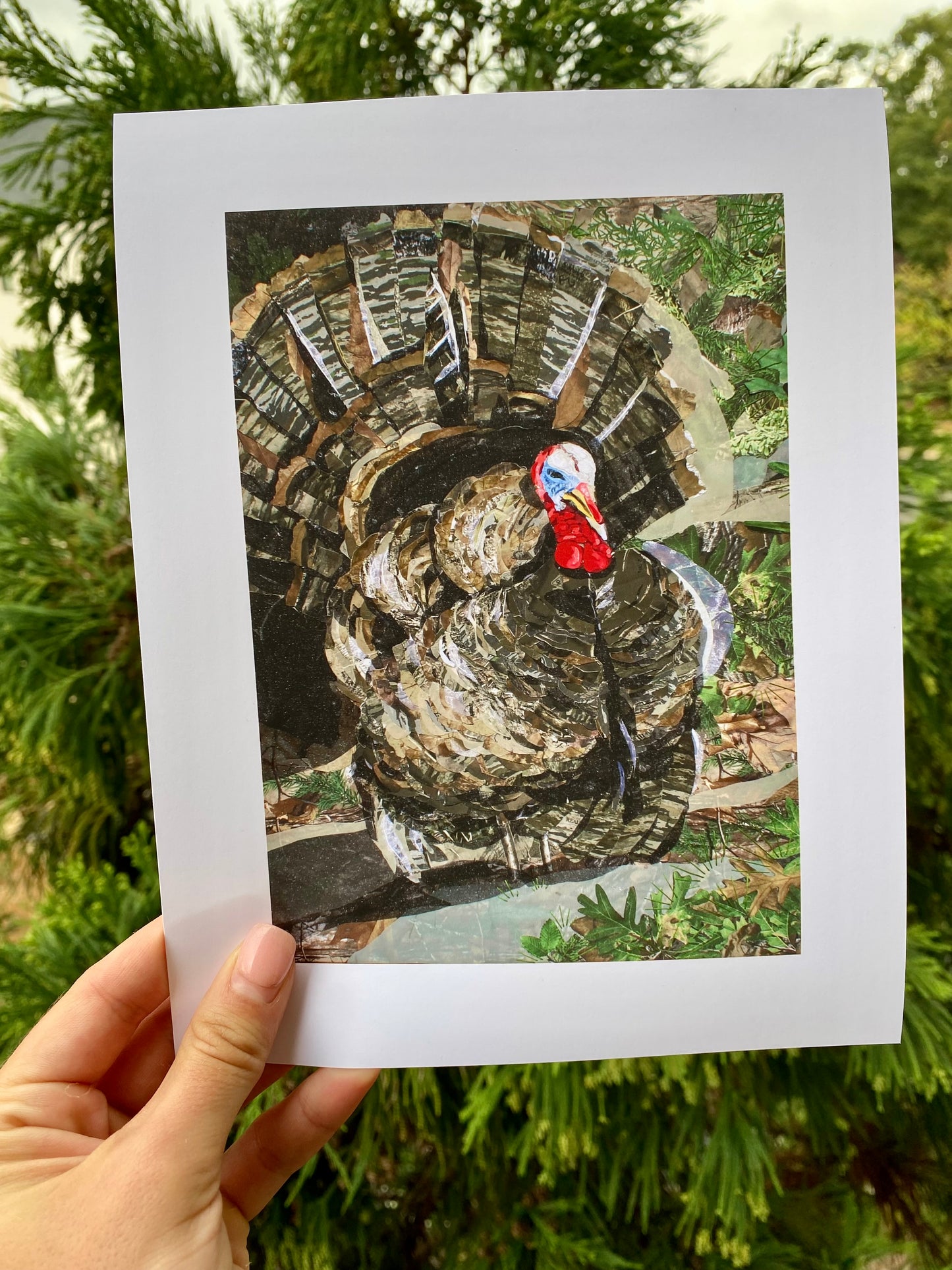 TURKEY Archival Print - unframed