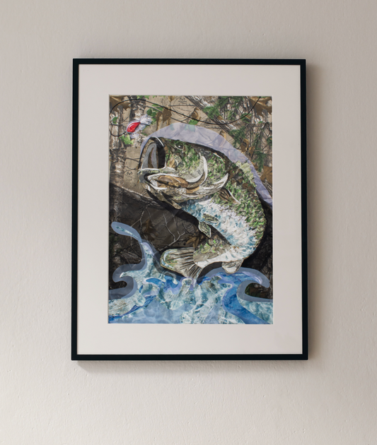 BASS FISH Archival Print - unframed